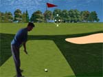 igra Flash Golf